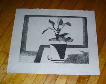 Original Lithograph Houseplant Signed 1970s Vintage