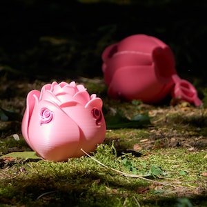 May include: Two pink rose-shaped objects with a swirl design on the petals. The objects are sitting on a bed of moss.