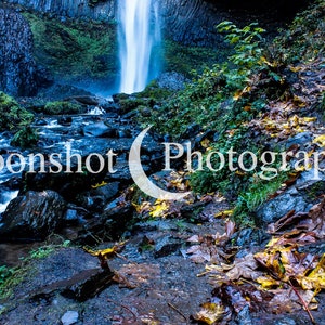 Waterfall and Creek
