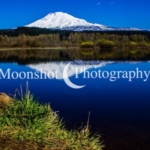 Mt. Adams in Trout Lake