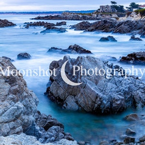 Monterey Surf