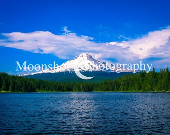 May include: A scenic view of a snow-capped mountain peak with a lake in the foreground. The mountain is surrounded by a lush forest of evergreen trees. The sky is a bright blue with white clouds.
