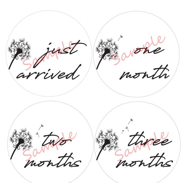 Monthly Baby Onesie Printouts, Dandelion Iron-ons DIY, Months 1-12 PLUS Just Arrived
