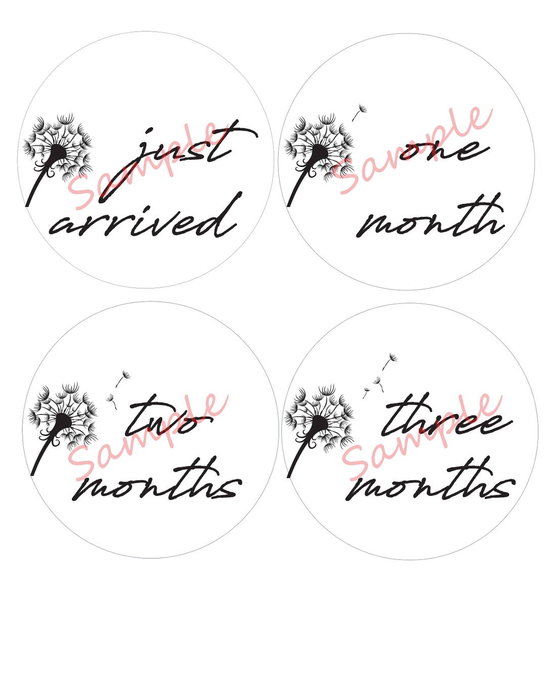 Monthly Baby Onesie Printouts Dandelion Ironons DIY Months Etsy