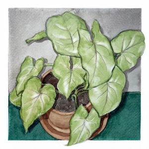 Watercolor Plant Print