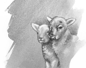 Baby Lambs Watercolor Print