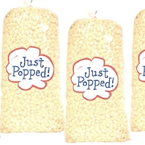 Gourmet Delicious Movie Theater Butter Popcorn Perfect Events Popcorn for any occasion 4-Pack (72 Cups Per Case) (Out of stock)