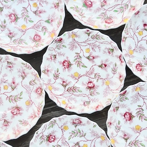 COPELAND Spode ROSEBUD England Chintz Saucers | Replacement China | Lot of Fine Bone English China Saucers #X3