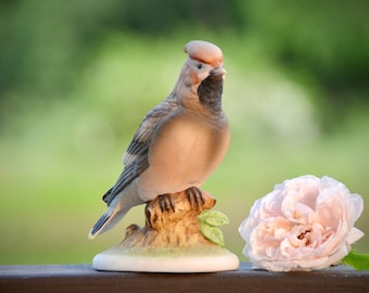 Vintage Japan Celluloid Wind-Up Mechanical Hungry Chicks W