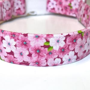 May include: A pink floral dog collar with a white interior. The collar is adorned with a pattern of pink flowers with blue and green accents. The collar is made of fabric and has a white buckle.