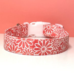 Tangerine Dog Collar ~ Girl Dog Collar
