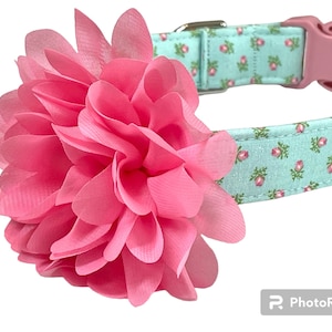 Rose Garden Dog Collar: Floral Fabric Collar with Pink Flower