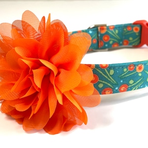 Woodsy Wonder Dog Collar, Girl Dog Collar