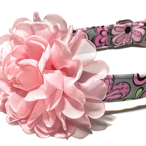 Pink Petals Dog Collar - Girl Dog Collar - Floral Dog Collar