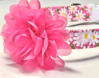 Hot Pink Daisy Dog Collar - Girl Dog Collar