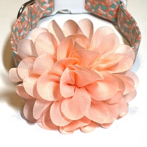 Floral Dog Collar: Sunburst Mosaic Fabric, Removable Flower