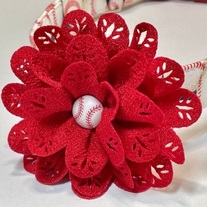 Baseball Dog Collar: MVP Sports Collar with Red Flower