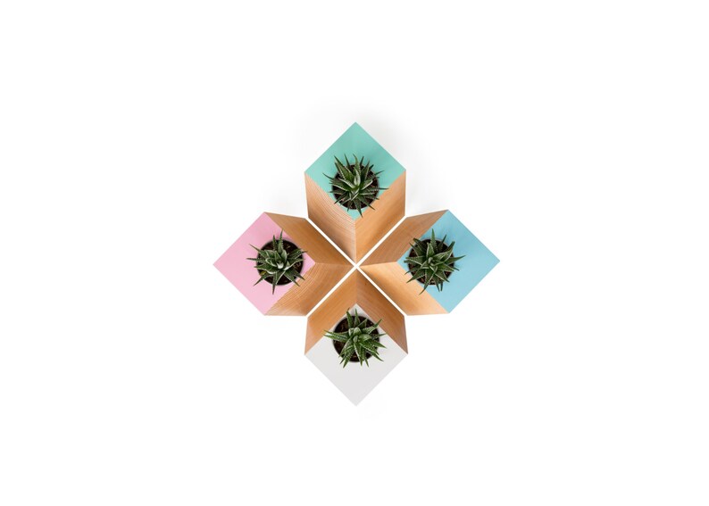 May include: Four geometrically-shaped planters, each with a succulent. Two planters are light teal, two are light pink, and one is white.  The planters are arranged in a cross pattern, showcasing a modern, minimalist design. Each planter is two-toned, with a light wood base and a painted top. The succulents are small and green, adding a pop of color to the design. These decorative planters are ideal for modern home decor and small plant lovers.
