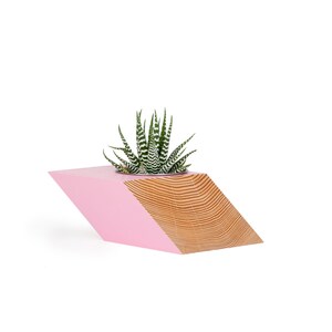 May include: Pink and natural wood geometric planter with a succulent. The planter is a modern, minimalist design, perfect for small plants and succulents. It features a pink painted section and a contrasting natural wood section. The unique shape adds a touch of contemporary style to any space. This stylish planter is ideal for home decor or as a gift.