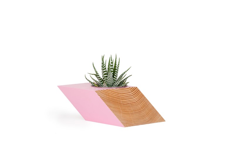 May include: Pink and natural wood geometric planter with a succulent. The planter is a modern, minimalist design, perfect for small plants and succulents. It features a pink painted section and a contrasting natural wood section. The unique shape adds a touch of contemporary style to any space. This stylish planter is ideal for home decor or as a gift.