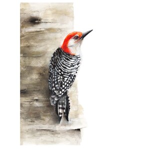 Red Headed Woodpecker Gouache and Watercolor Print Woodpecker Series Red Breasted Woodpecker