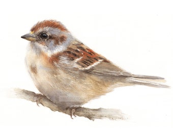 American Tree Sparrow watercolor - Bird Art Print Wall Decor