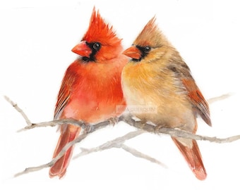 Pair of Northern Cardinals - Giclee Print of watercolor painting. Bird Art.