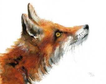 Fox Giclee Print . Animal watercolor Illustration. Small Gift.