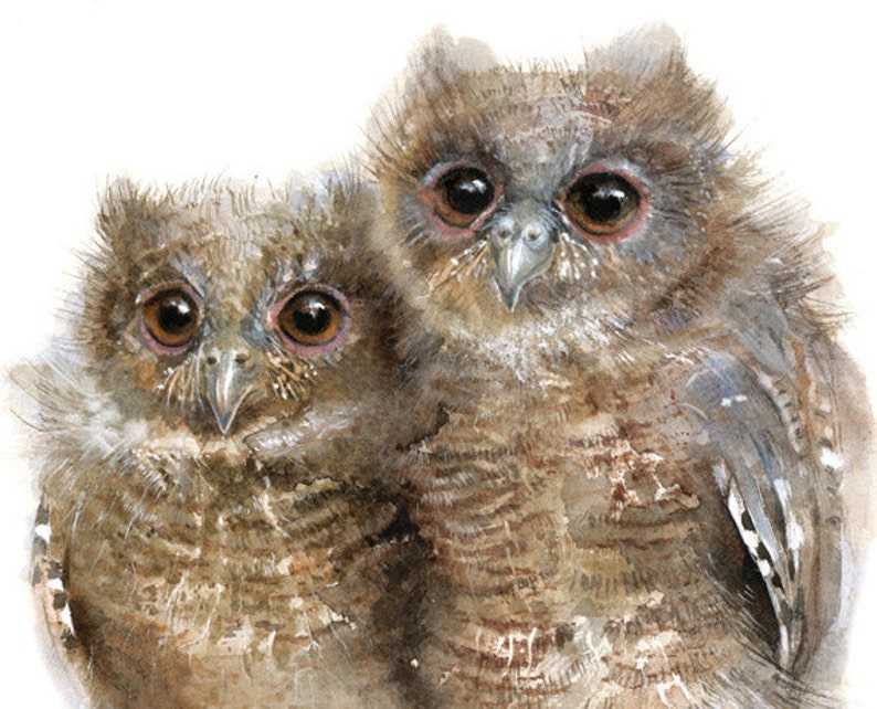 Owl watercolor Baby Owls Giclee Print Nursery Decor Etsy