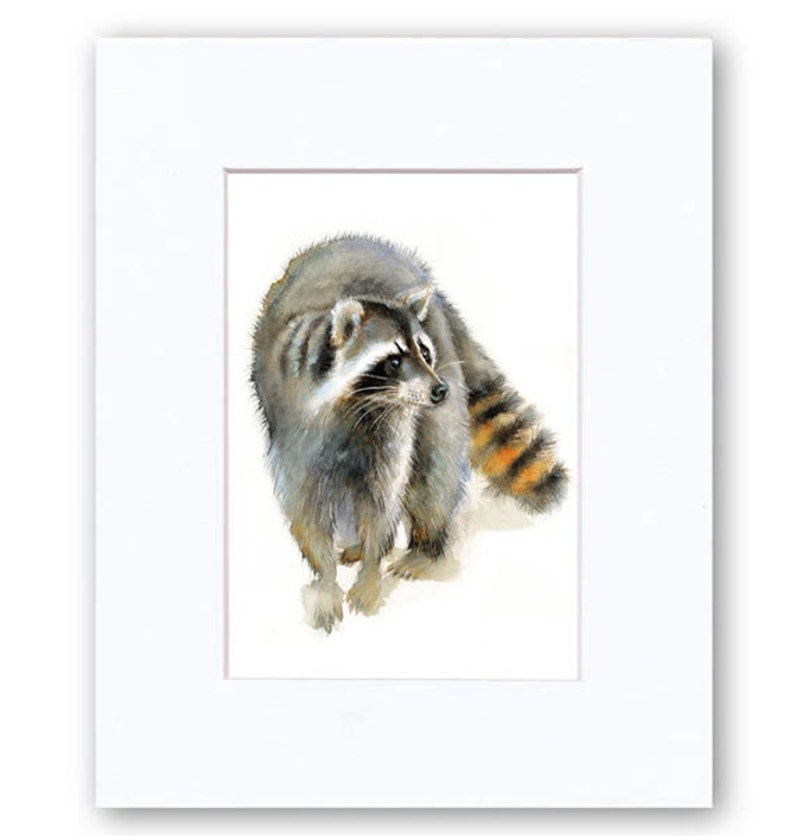 Raccoon watercolor Home Wall Decor Woodland animals Giclee Print Raccoon Watercolor Illustration
