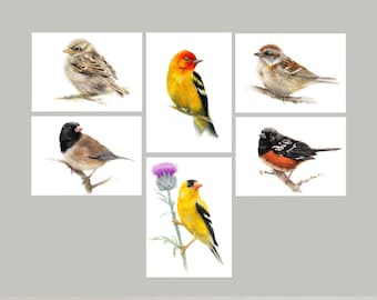 Note card set | watercolor birds |Western Tanager | Junco | Spotted Towhee | House Sparrow | Tree Sparrow | American Goldfinch