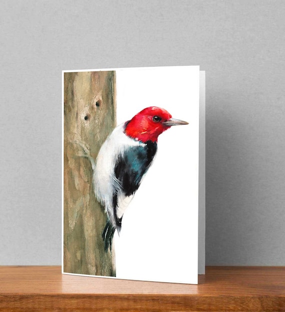 Featured image of post Red Headed Woodpecker Painting