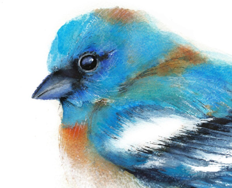 Bird Watercolor Painting. Bluebird Art Print. Nature or Bird - Etsy