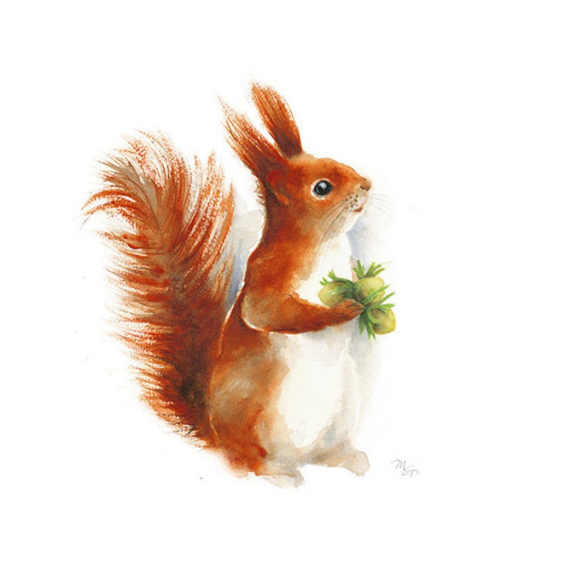 Woodland Squirrel Watercolor Painting Print. Nursery Animal | Etsy