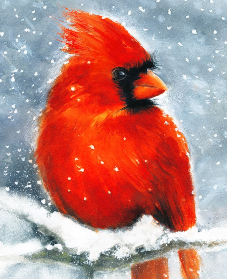 best red cardinal bird feeder best red cardinal bird feeder