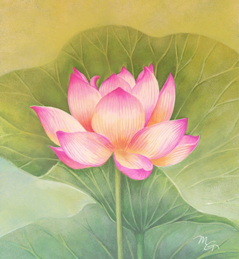 Pink Lotus Flower Watercolor Painting Giclee Print Children Etsy