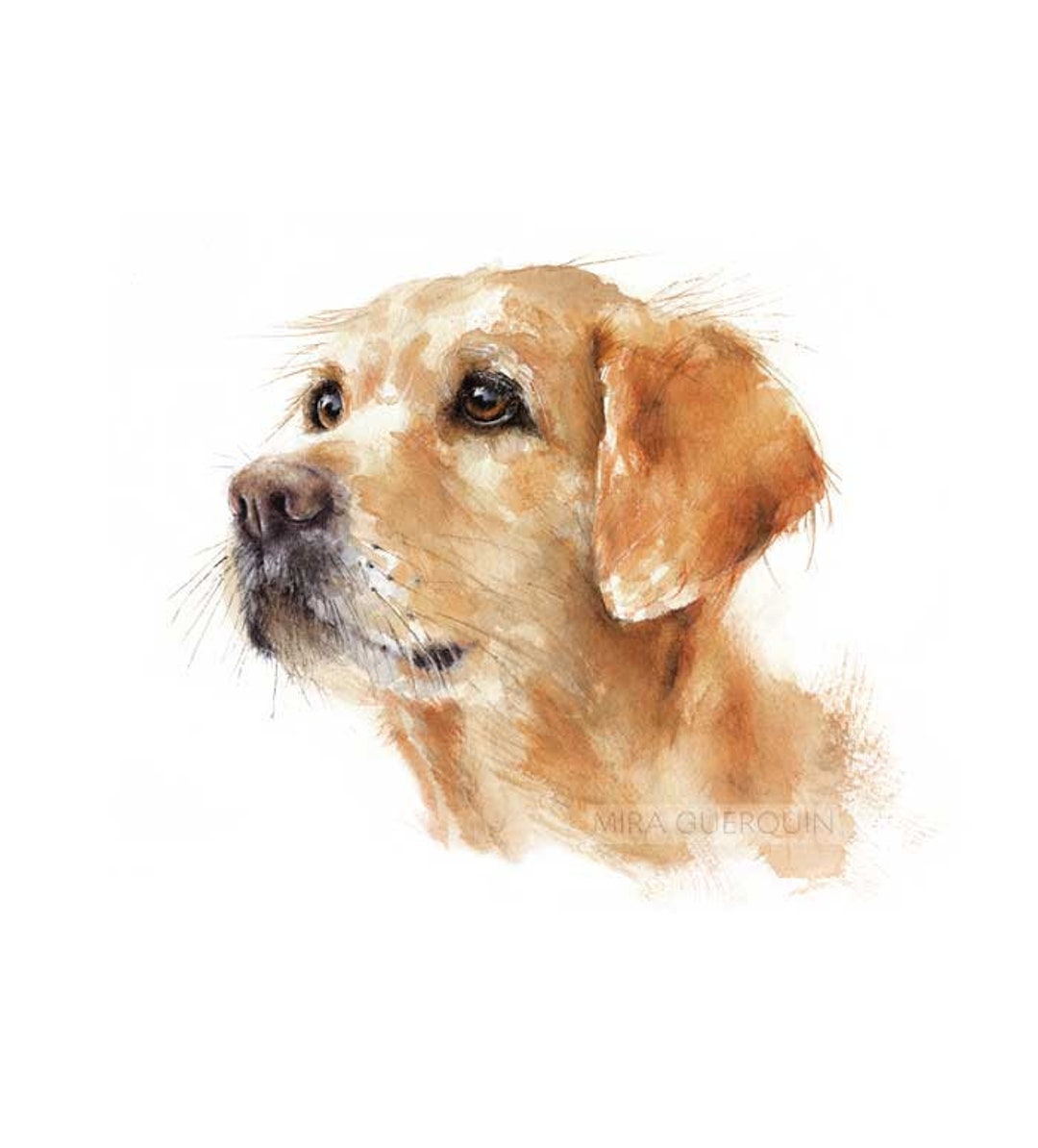 Labrador Watercolor Giclee Print Kids Room Decor Dog - Etsy