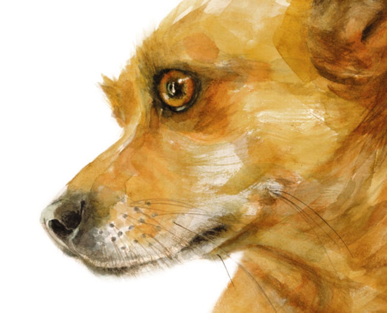 Chiweenie Dog Archival print of watercolor painting. Art