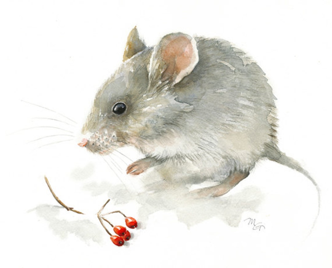 Mouse Watercolor Painting Art Print. Nature or Animal Etsy