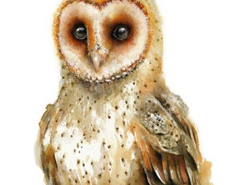 Owl watercolor painting - Bird Art Print. Bird Illustration.