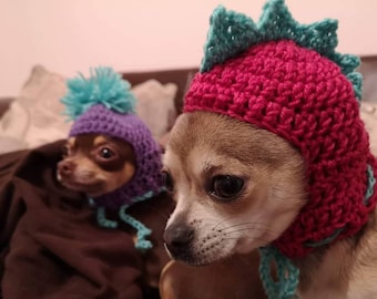 Small Dog/Cat Novelty Hat Crochet Pattern