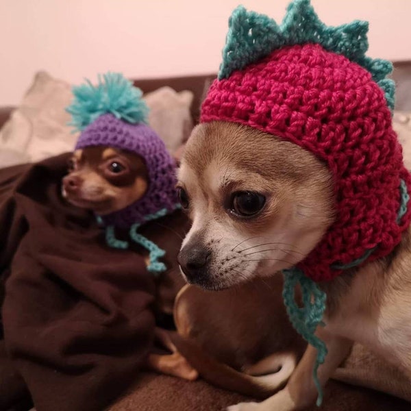 Small Dog/Cat Novelty Hat Crochet Pattern