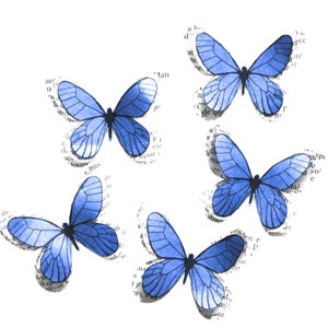 Farfalle di carta 3D per decorazioni murali, compleanno di bambine, cameretta di bambine, matrimonio in campagna, centrotavola, festa di primavera