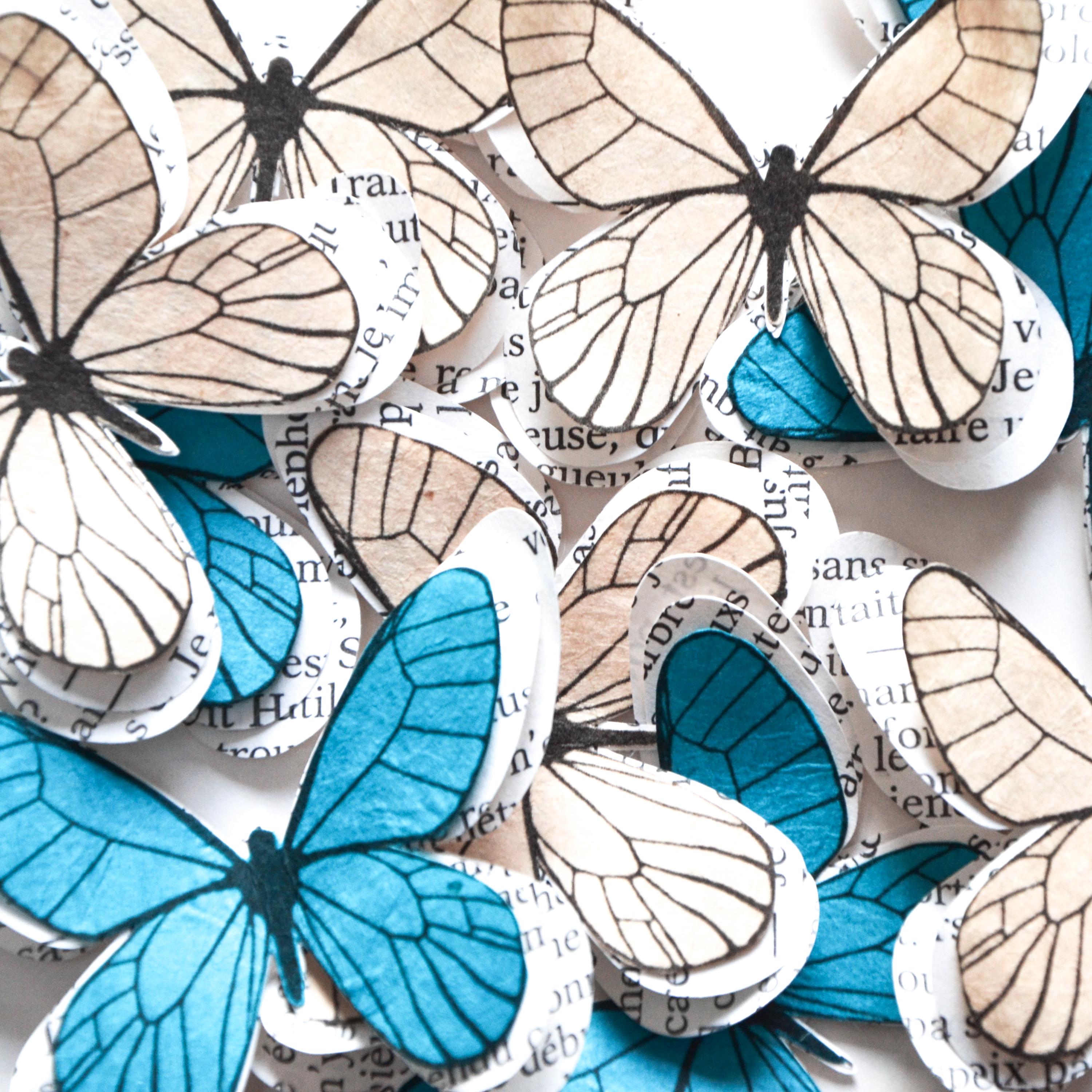 Cikonielf Papillons Exquis Spécimen D'insectes Artisanat | FindTheDeal