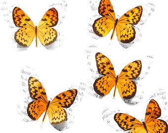 Papillons artificiels orange pour decoration centre table mariage et fete anniversaire enfants, stickers 3d chambre bébé fille, deco boheme