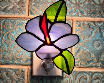 9009-74 Stained Glass Dress Hat Night Light New 