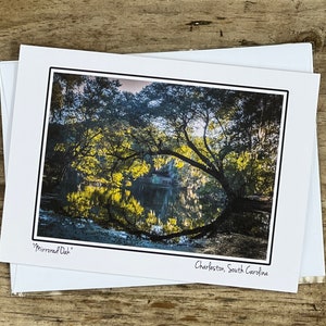 Charleston South Carolina Notecards - Lustrzany dąb
