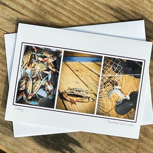 Crabbing on Daniel Island Notecard