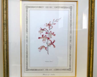 Antique Lithograph Print, "Flowers of Arabia" Hand Colored, Eulophia Petersii, Professionally Mounted in Quality Gallery Frame, Circa 1910s