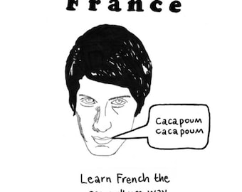 Merde in France: Learn French the Pop Culture Way - a small press book.